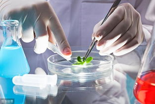 高新技術企業技術轉讓對外投資稅收優惠政策解析