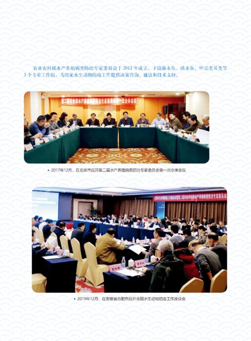 輝煌成就 水產技術推廣三十年回顧（第五期）——疫病防控、質量安全與網絡技術服務的革新之路